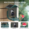 JOOAN S7U-BD Solar Powered Smart Bird Feeder Camera